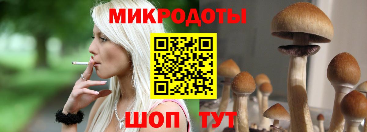 Сарапул  Галлюциногенные грибы мухоморы  Псилоцибиновые грибы Cubensis  Вход с VPN 